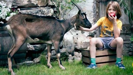 Фильм Всё включено 2: Галопом по Европам  онлайн в хорошем качестве