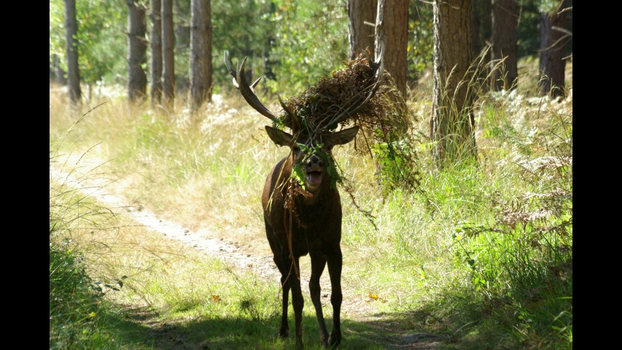 Une bien sympathique rencontre
