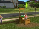 Les Sims 2 : La Bonne Affaire