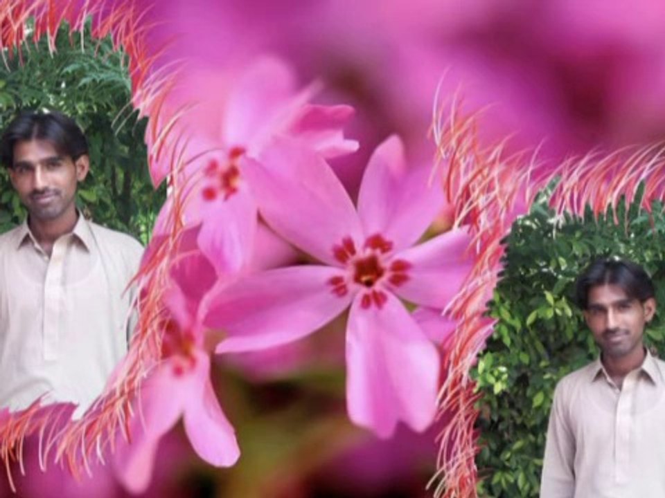 sanwal hh mobiles