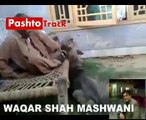 Pashto New Funny Video Pashtotrack