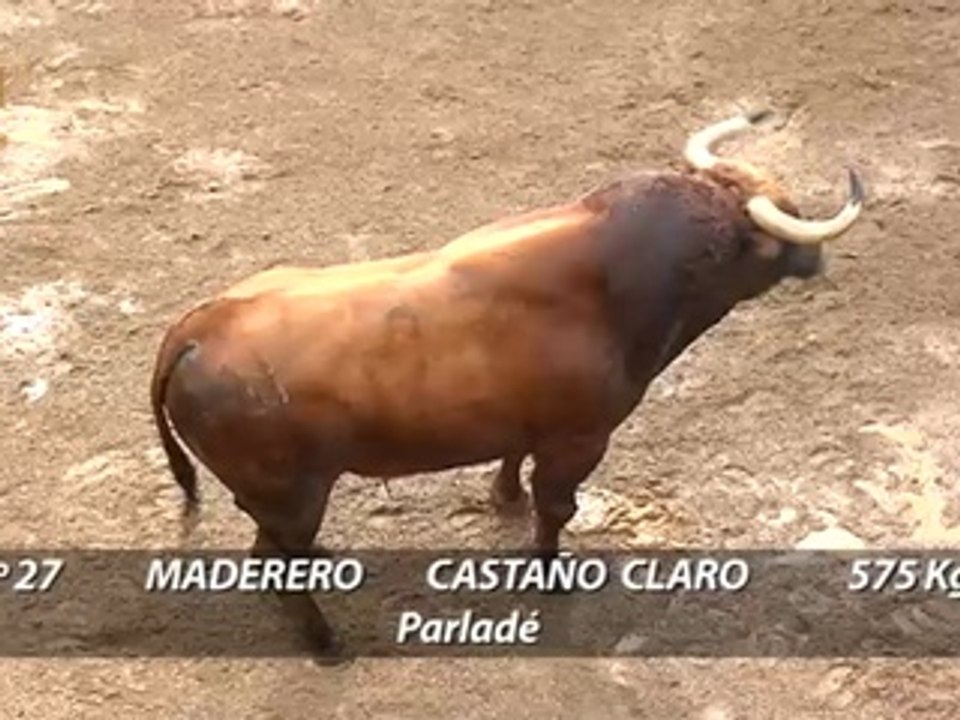 Sorteo de la segunda corrida de San Miguel