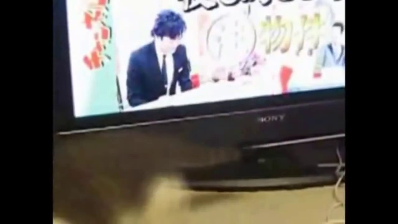 Funny Cats Compilation - June 2014