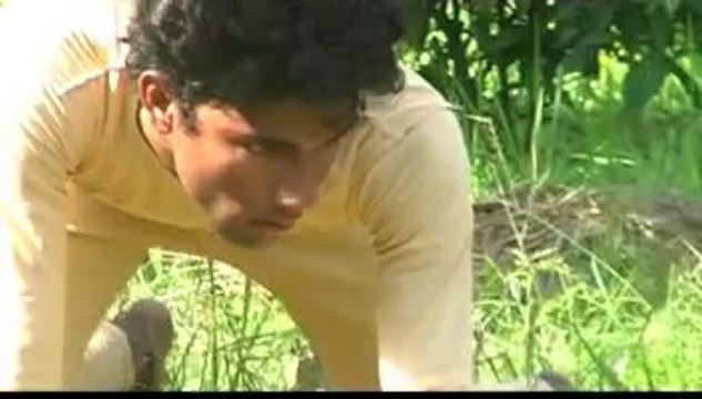 Breaking News of Dancing Animal Planet-Animals' movements in Dance form-Choreographed by Soma Bhowmick