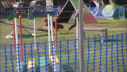 Bullit Concours de Saint Nazaire 2014-09-28