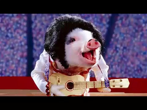 ダイエット放送２週目（仮）　2012 04 15　23：51