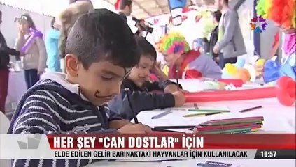 Her şey Can dostlar için etkinlikte elde edilen gelir Hayvanlara kullanılacak