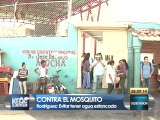 Héctor Rodríguez pide tomar medidas preventivas para evitar dengue y chikungunya