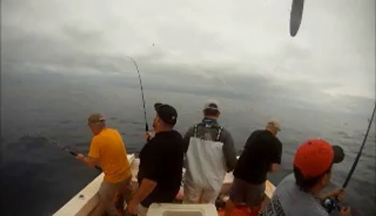 IG VId 91091