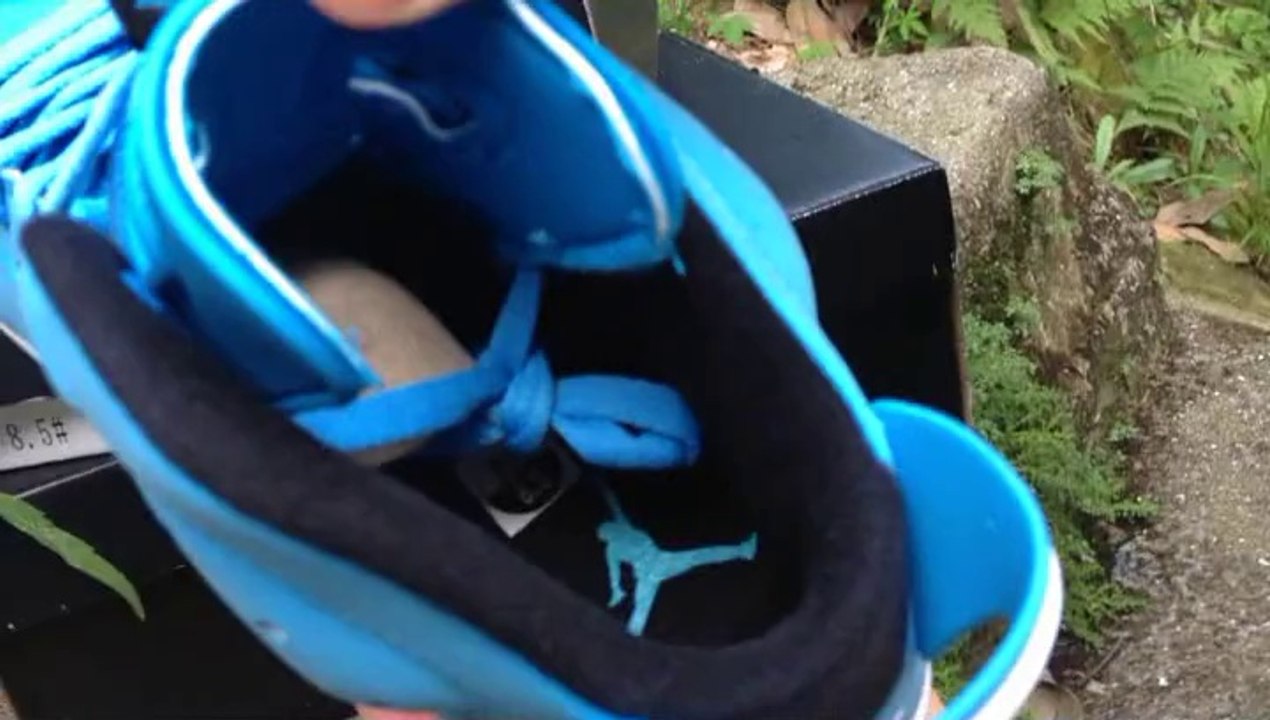 Air Jordan Retro 6 Sample Pantone VI Sneaker at www.kicksgrid.cn