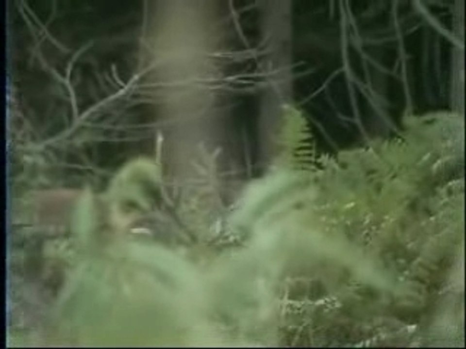 Brame 2003 2004 en champagne ardenne