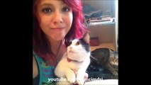 Funny cat vines - Ultimate cats vines compilation 2014