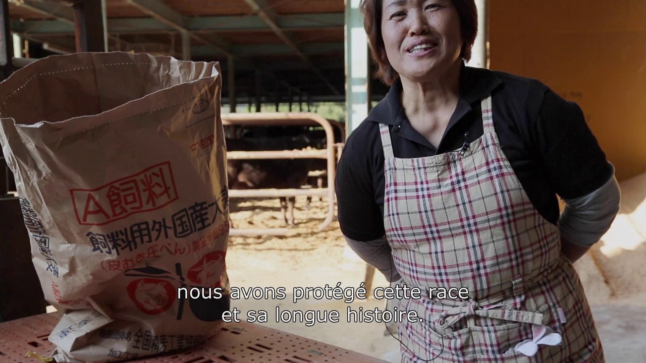 Steack (R)evolution, documentaire de Franck Ribière - Extrait "Japon" - En salle le 5 novembre 2014