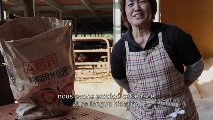 Steack (R)evolution, documentaire de Franck Ribière - Extrait "Japon" - En salle le 5 novembre 2014