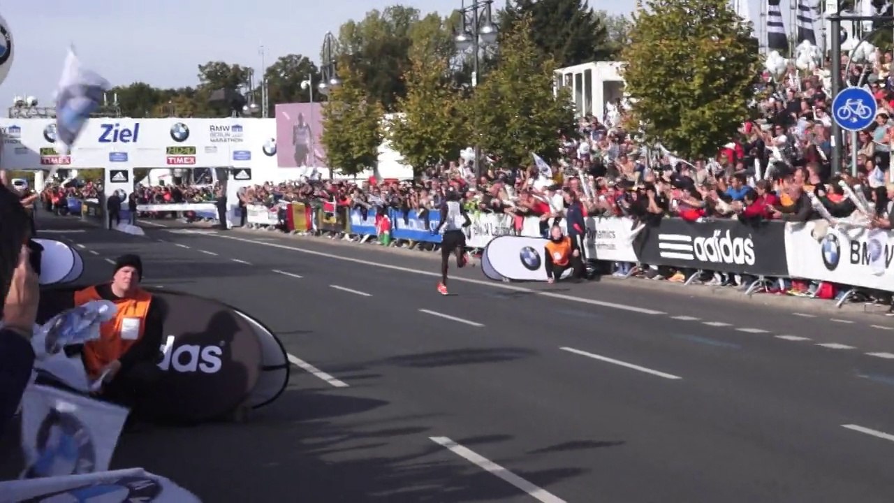 Berlin-Marathon 2014 Reportage