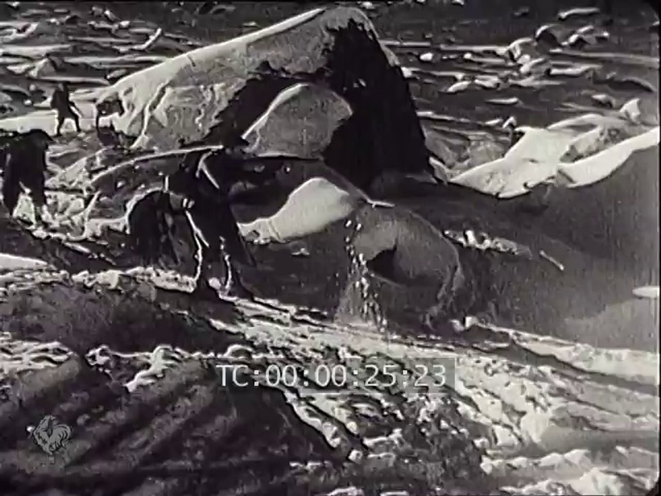 les Section d'éclaireurs skieurs