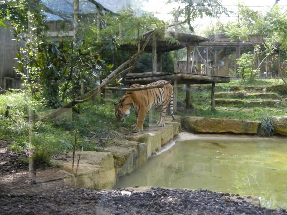 zoo d'amnéville été 2014
