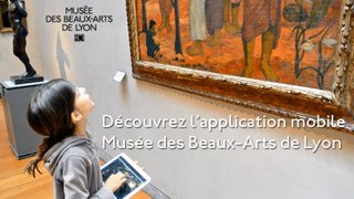 Musée des Beaux-Arts de Lyon : application gratuite / Free apps