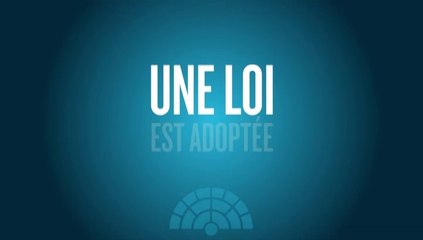 Le contrôle de la conformité à la constitution des lois non promulguées