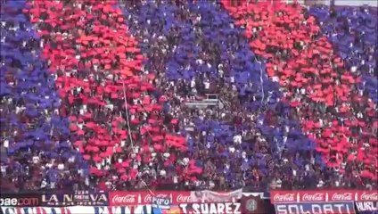 San Lorenzo Hincha Instituto Ultras