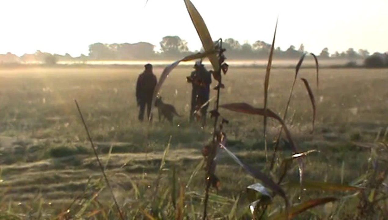 1er essai raté de la piste libre Brevet Hellboy pistage Français