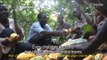 İlk kez çikolata yiyen kakao işçileri - Fildişi Sahili (HD)