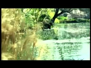 فلسطين هذا الصباح 29-9-2014 ج1