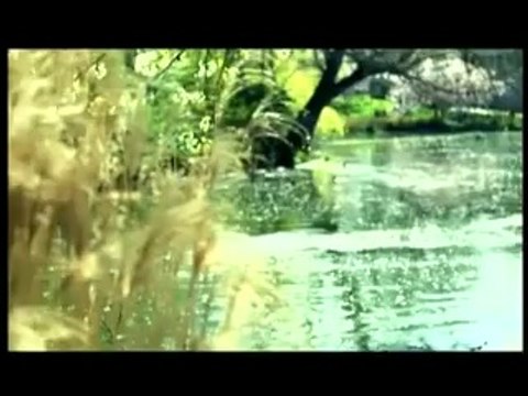 فلسطين هذا الصباح 29-9-2014 ج1