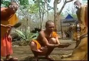 Buddhist Monks Who Keep Tigers As Pets