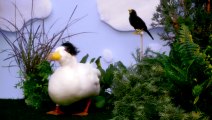 DuckTales Theme Song With Real Ducks