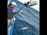 Pêche sportive du thon rouge de Méditerranée _ Angler4ever & Roussillon Fishing