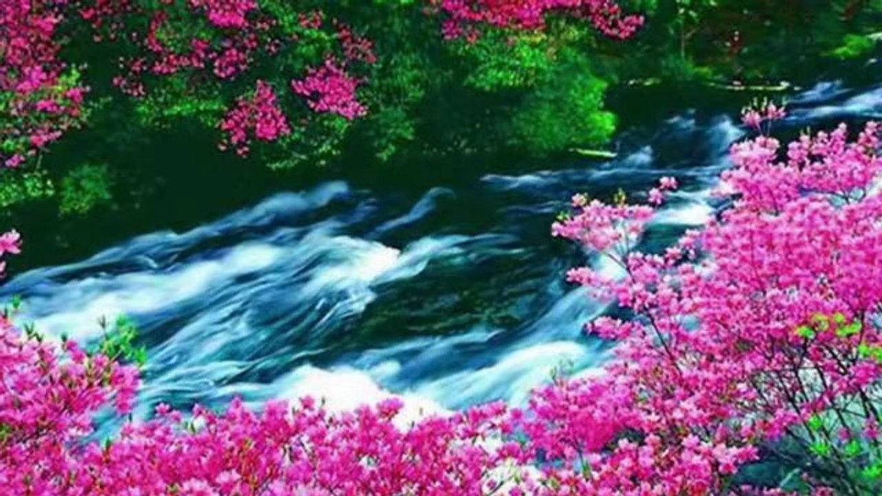 Can Etili-Acilin Kapilar Saha Gidelim