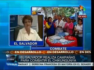 En El Salvador hay 123 casos confirmados de Chikungunya