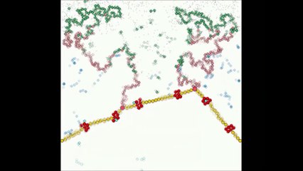 CurLy'on - Curli synthesis and adsorption of nickel