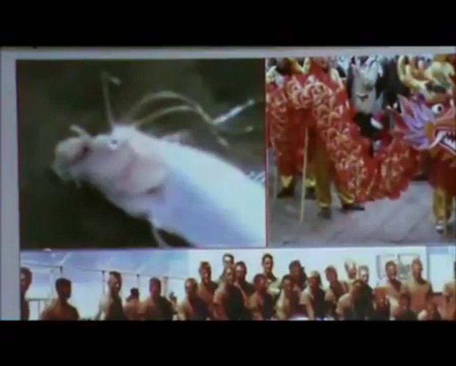 Repas Ufologiques de Metz - Cryptozoologie avec Philippe Banck (janvier 2013) (2 ème partie)