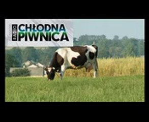 Download Ebook Organizing Identity Paul du Gay PDF FREE