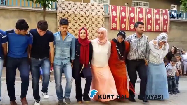 AMED DİYARBAKIR LİCE HALAYLARI