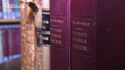 Colloque Jean-Pierre Abel-Rémusat et ses successeurs: 13 juin 2014, après-midi, Allocution d'accueil - M ZINK