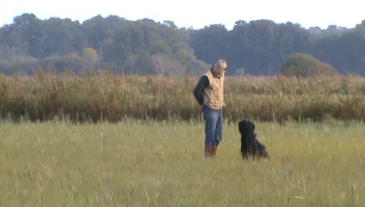Piste au trait du Briard In'Troun Ar Glaskerien Roudou au Brevet de pistage Français