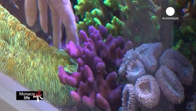 Монако: принц і море