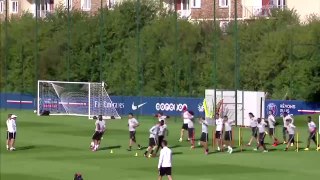 Blanc- PSG's Ibrahimović out injured