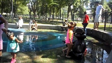 Lily Rose Park Street