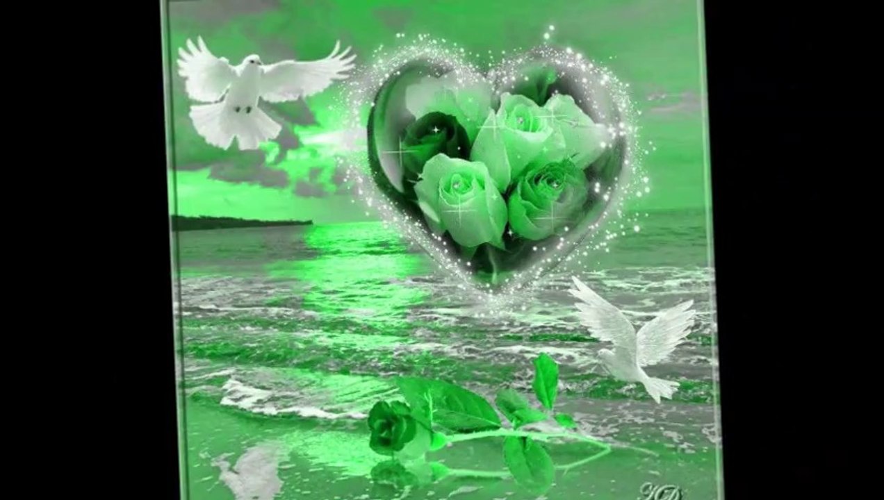 seni sevıyorum bitanecik aşkım..... aşkım sen benım herseyımsın