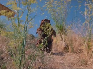 Dorothée raconte "L'Aventure des Ewoks"