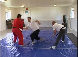 How To Do Martial Arts - Throws 3