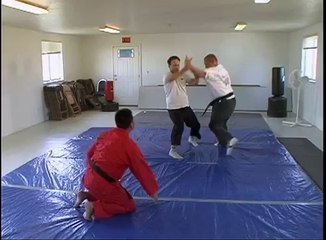 How To Do Martial Arts - Throws 4