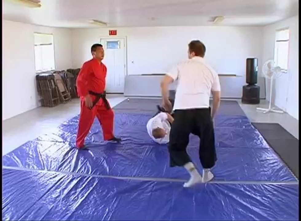 How To Do Martial Arts - Throws 5