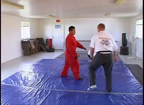 How To Do Martial Arts - Throws 7