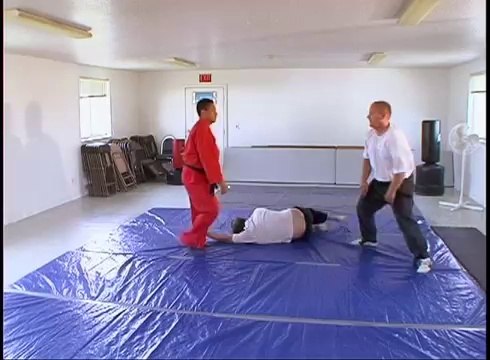 How To Do Martial Arts - Throws 8