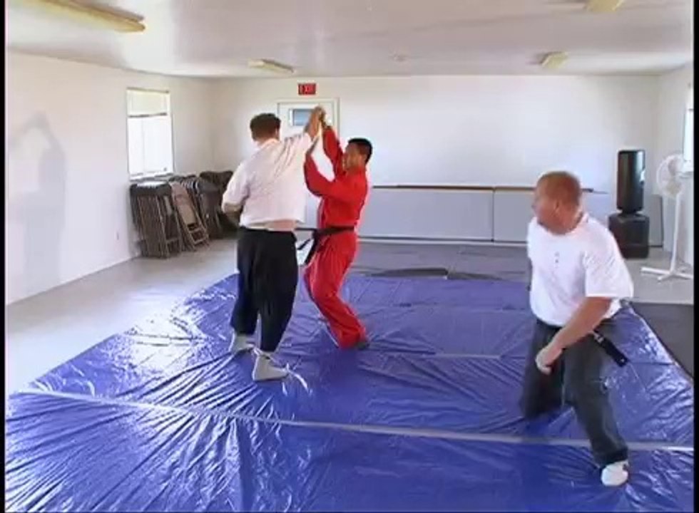 How To Do Martial Arts - Throws 9